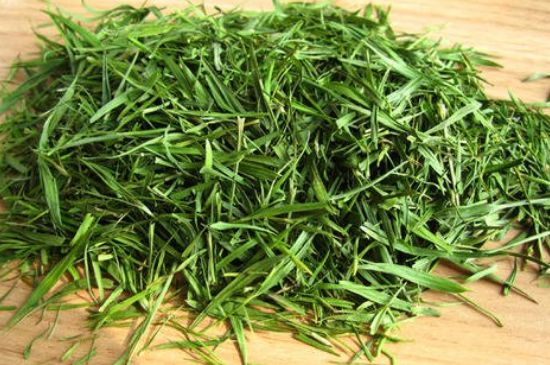 哪類人不適合喝石竹茶，石竹茶的功效與禁忌