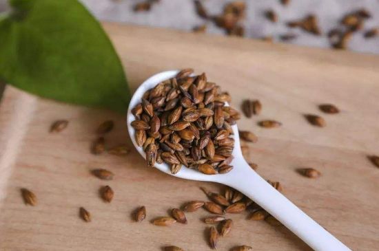 大麥茶上火嗎，喝大麥茶會(huì)不會(huì)上火？