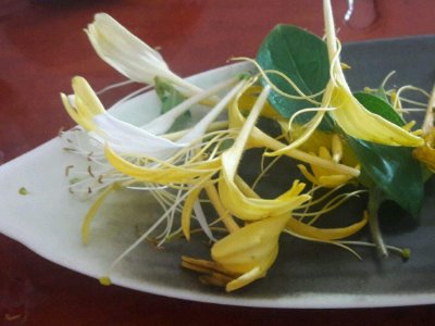 喝茶治口臭嗎，什么茶治口臭好？