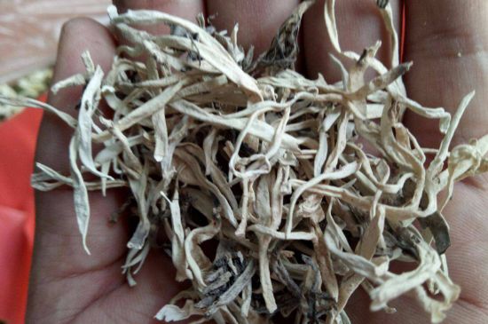 麗江雪茶的禁忌，白雪茶的副作用