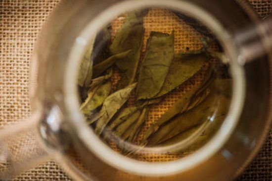 苦丁茶副作用，苦丁可以經(jīng)常喝嗎？