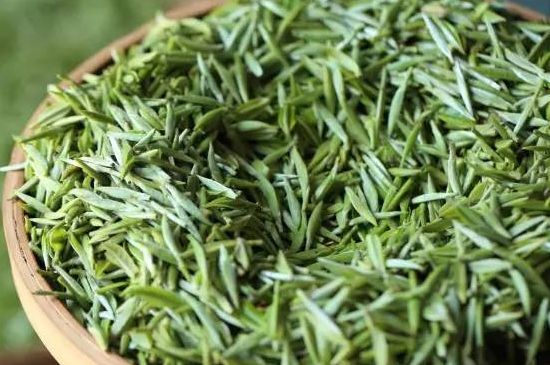 雀舌茶的沖泡方法，怎么沖泡雀舌茶？