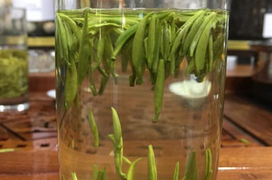 雀舌茶的副作用，雀舌茶什么人不能喝？