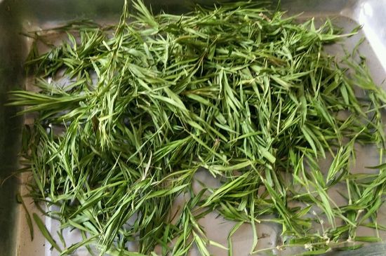 哪類人不適合喝石竹茶，石竹茶的功效與禁忌