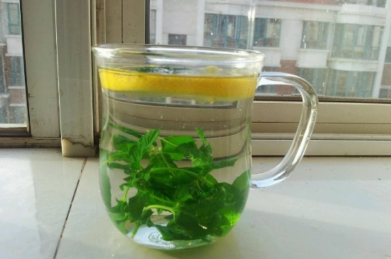 薄荷茶的功效與作用，喝薄荷茶有什么好處？