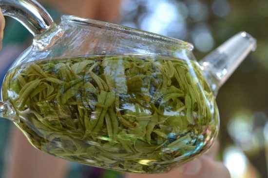 新手學(xué)泡茶的基本常識(shí)，從零開(kāi)始學(xué)泡茶