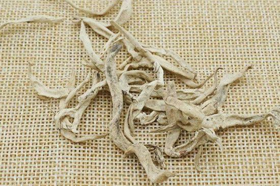 麗江雪茶的功效與作用，白雪茶有什么功效和作用