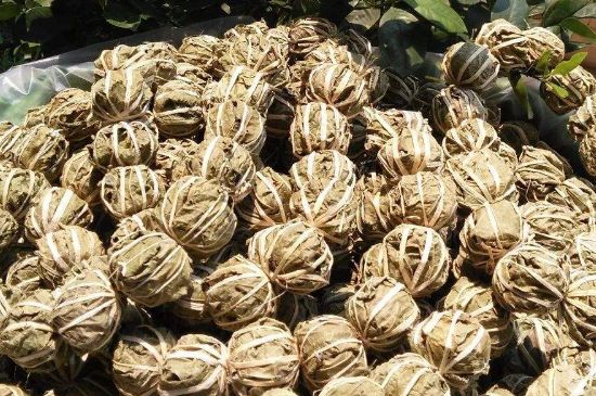 鷓鴣茶的禁忌，海南鷓鴣茶副作用