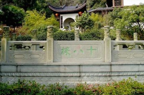 世界最貴的茶葉排行榜，十大最貴的茶