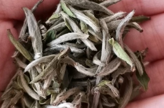 如何買茶葉不上當，怎么買茶葉不被坑？