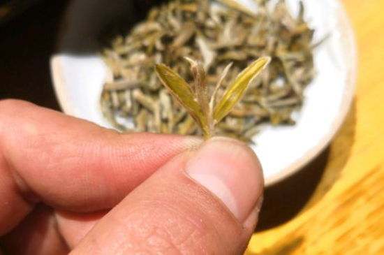 六大茶類(lèi)哪種適合長(zhǎng)期存放，日常如何保存方法一覽？