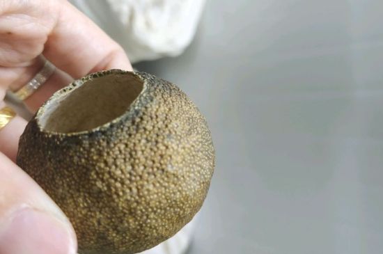 小青柑多少錢一盒，新會小青柑普茶價(jià)格一斤多少