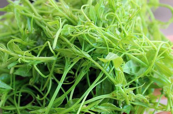 茅巖莓茶別名是什么，莓茶別名叫藤茶嗎？