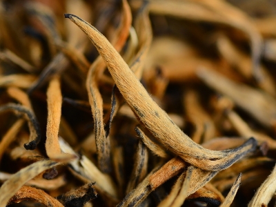 怎么知道什么茶葉適合自己，怎么判斷自己適合喝什么茶？