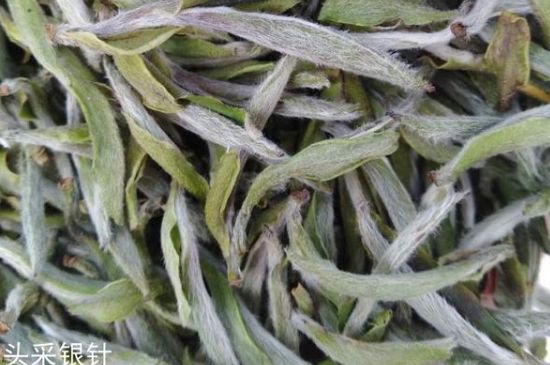 春茶季怎么辨別白毫銀針的好壞，好的白毫銀針如何選購？