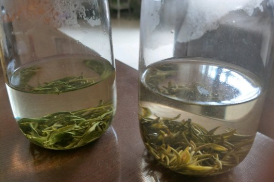 真假碧螺春泡水后區(qū)別，蘇州洞庭碧螺春怎樣鑒別好壞？