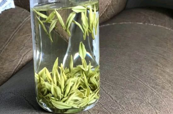 安吉白茶夏天怎么保存，安吉白茶能冷凍儲存嗎？