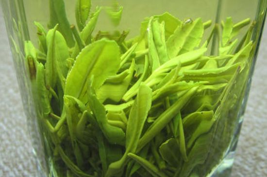 哪種茶葉可以放冰箱，哪些茶不能放冰箱？