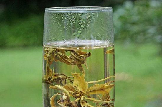 茉莉龍珠什么人不能喝，茉莉龍珠茶什么體質(zhì)不能喝？