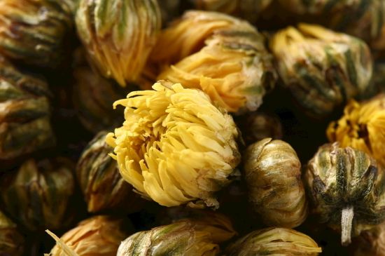 蒲公英搭配大全，蒲公英泡水喝的8種搭配