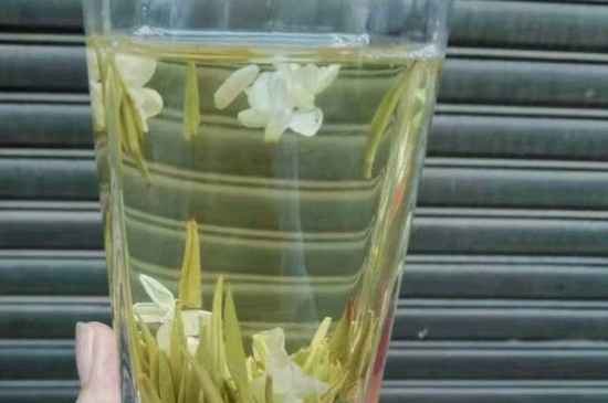 茉莉茶能天天喝嗎，茉莉花茶一周喝幾次