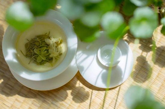 茉莉花茶6種人不要喝，什么體質(zhì)不適合喝茉莉花茶？