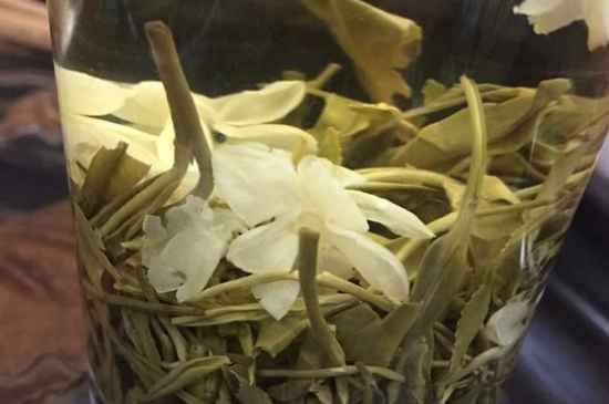 女孩喝茉莉茶的好處，茉莉茶葉的功效與禁忌