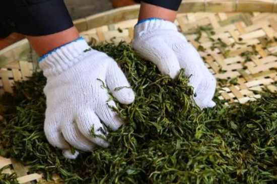 綠茶加工工藝流程圖，綠茶的加工制作包含哪幾個(gè)步驟？