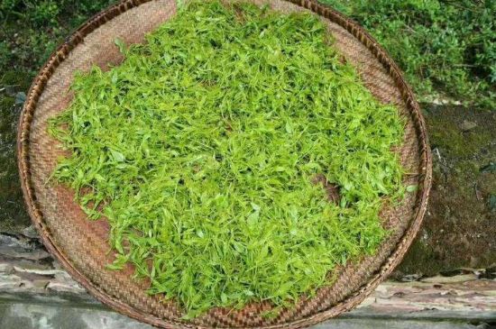 茅巖莓茶加工工藝，莓茶的工藝制作過程