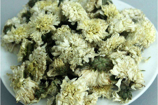 菊花茶買小朵還是大朵，泡茶用的小菊花和大菊花哪個好