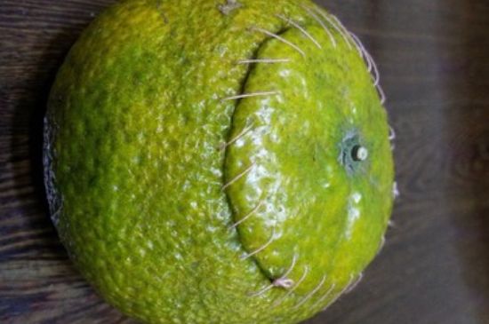 家庭自制柑普茶方法，小青柑制作9個步驟竅門（圖片）