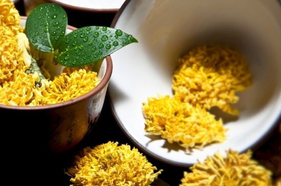 孕婦可以喝菊花茶嗎，菊花對(duì)胎兒有致畸作用？