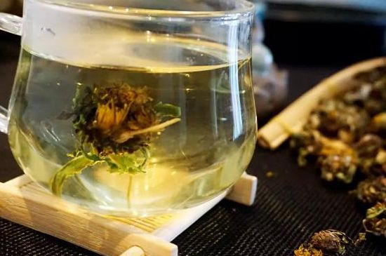 蒲公英最佳搭配，蒲公英茶和什么搭配泡水最佳