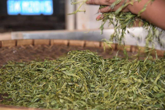 炒青綠茶與綠茶的區(qū)別，烘青和炒青哪個好喝？