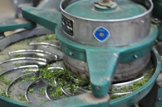 武夷巖茶的初制、精制加工工藝詳細講解