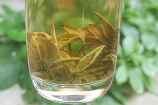 茉莉龍珠泡開后為什么都是梗，茉莉龍珠泡開后什么樣？