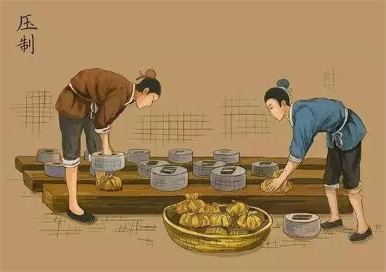 制茶八步驟，制茶工藝流程圖