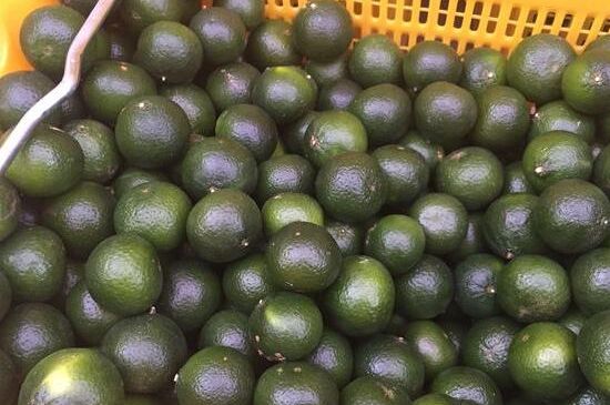 家庭自制柑普茶方法，小青柑制作9個步驟竅門（圖片）