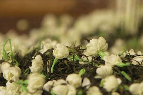 蒸茶器可以蒸花茶嗎，蒸茶器能用來蒸茉莉花茶嗎？