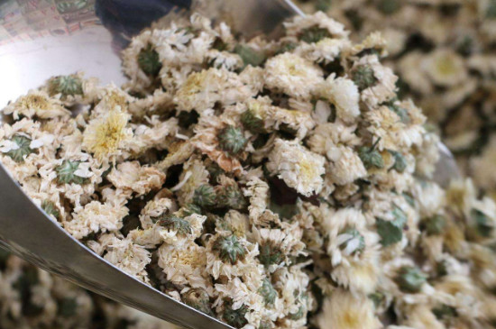 菊花茶買小朵還是大朵，泡茶用的小菊花和大菊花哪個好