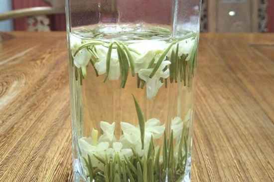 女孩喝茉莉茶的好處，茉莉茶葉的功效與禁忌