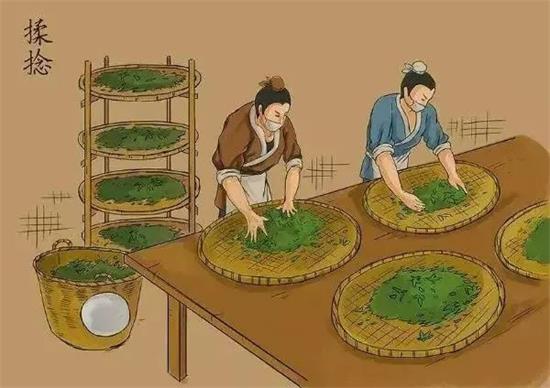 制茶八步驟，制茶工藝流程圖