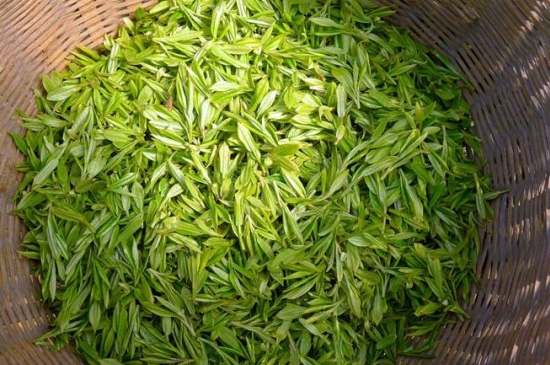 烏牛早和龍井的區(qū)別圖片，龍井43號和烏牛早茶的對比