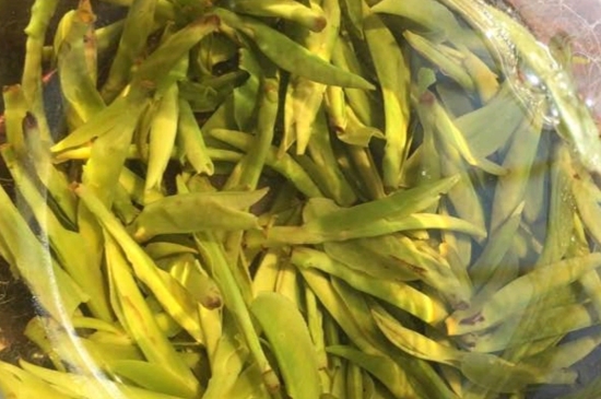 龍井是明前的好還是雨前的好，明前茶和雨前茶哪個好喝？