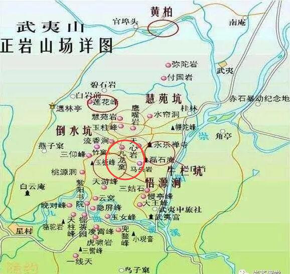 母樹大紅袍給誰喝了，為什么母樹大紅袍叫三棵六株？