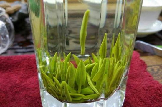 雀舌有一股青草味，雀舌為什么有青草味？