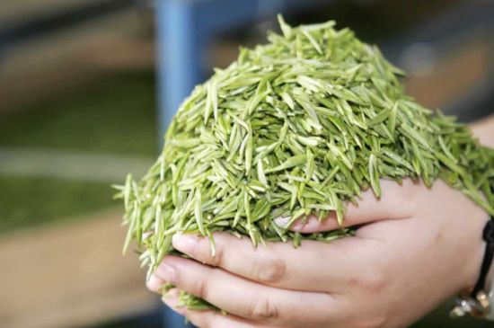 高山云霧茶屬于什么茶，高山云霧茶哪里的最好