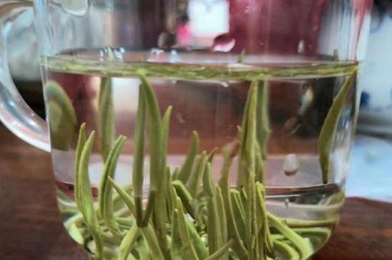 踏雪蘭妃是什么茶，踏雪蘭妃是哪里的茶葉?