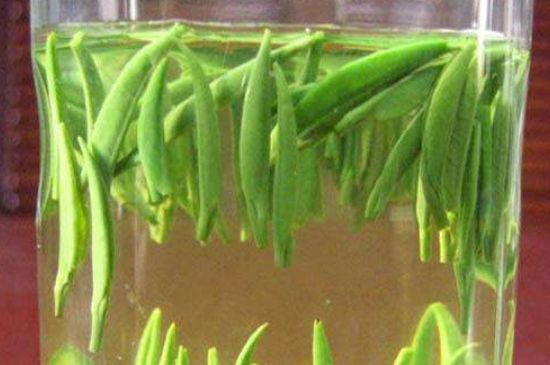 竹葉青和毛尖的區(qū)別，毛尖和竹葉青怎么分辨？