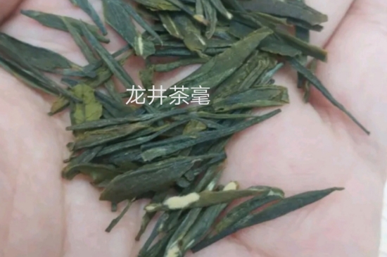 西湖龍井茶毫和發(fā)霉區(qū)別圖片，長霉的龍井茶葉會(huì)是什么樣？